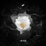 avici-01