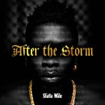 after-the-storm