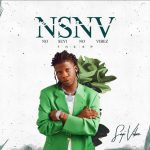 nsnv
