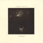 the-call-into-the-woods