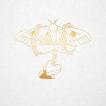 david-gray-gold-in-a-brass-age-accoustic-version