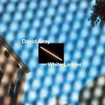 david-gray-white-ladder