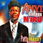 anyi-ganaga-niru