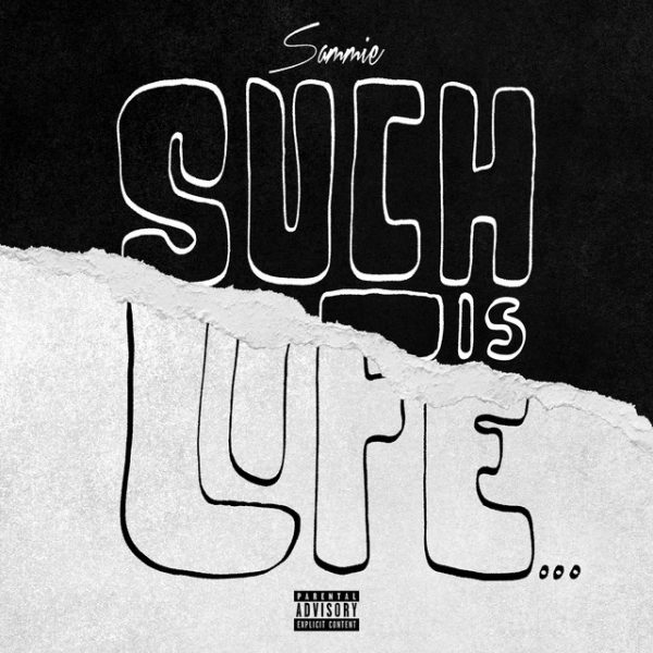 such-is-life